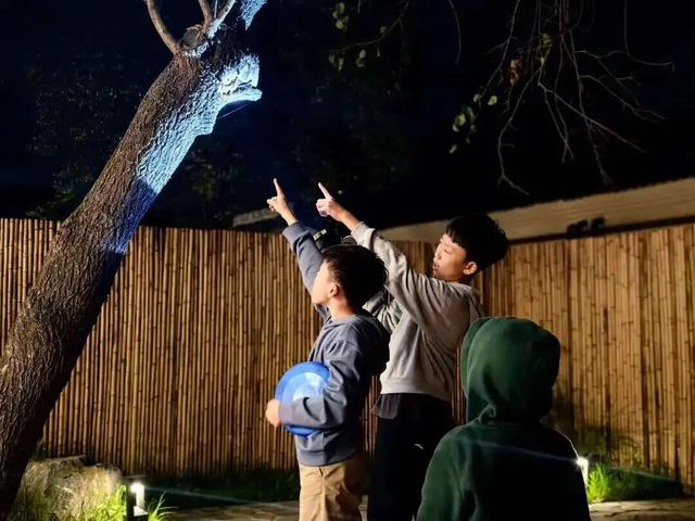 万鸟齐舞！北京这里成“候鸟天堂”，还有专属礼遇——