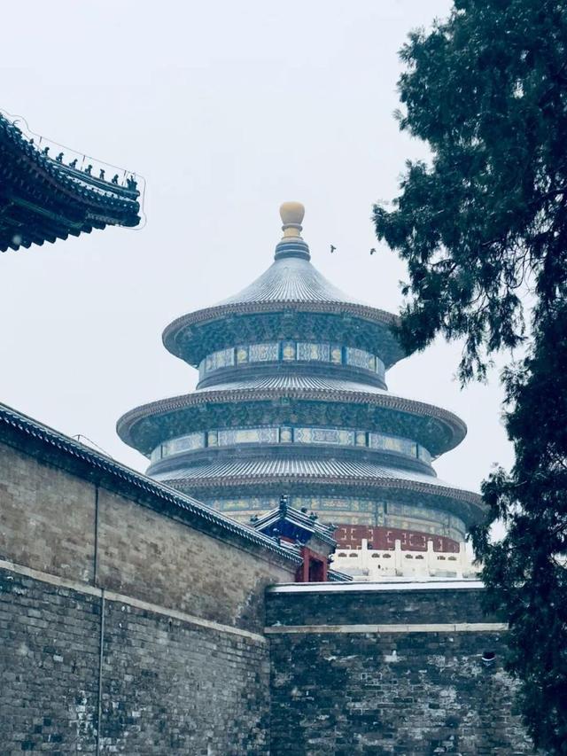 京城今冬首场雪，美景藏进相册里