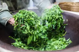 茶叶需要放冰箱保存吗？天冷了，不洗脸会让皮肤变好吗？图片