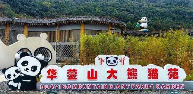 2025年华蓥山旅游文化节启幕 广安推出四条精品线路