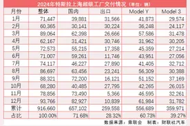 零售份额降0.8、新Model Y“逆势”涨价 特斯拉“闯关”2025图片