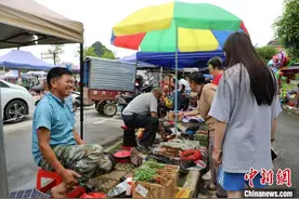 探访中越边境壮族端午药市：千年药香飘四海图片