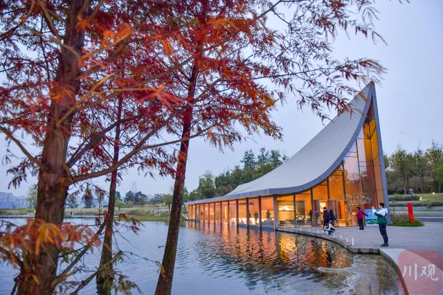 C视觉丨初冬兴隆湖 邂逅油画森林