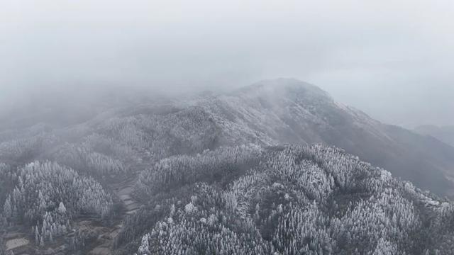 多图直击融水雾凇美景