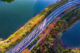 人在画中跑 景在心中留 2024千岛湖马拉松激情开跑图片