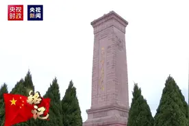 烈士纪念日向烈士默哀视频封面