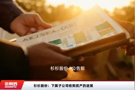 杉杉股份：下属子公司收购资产的进展视频封面