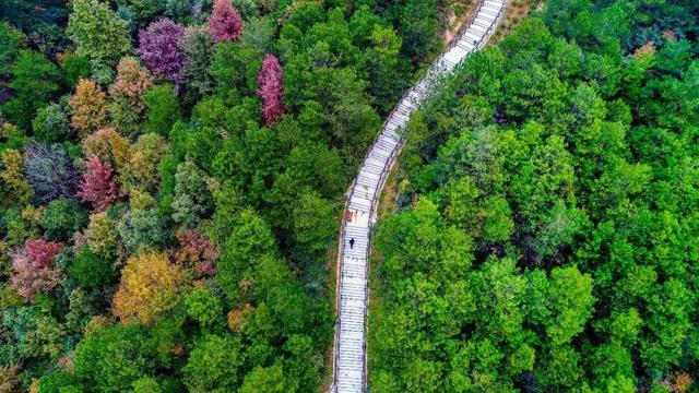 丰收宴、打糍粑 、85折券逛吃...长沙县首届徒步健身走报名启动→