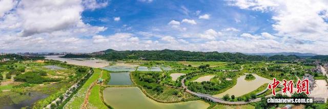 广西梧州：湿地公园景美如画