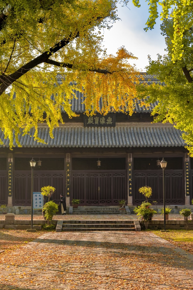 这6个淮南银杏绝美打卡地！码住刷爆朋友圈！