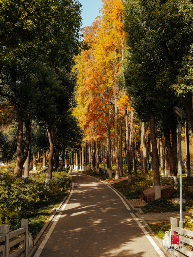 寒潮倒计时！再不来就迟了