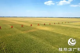 西平县：生态颜值靓 文旅后劲足图片