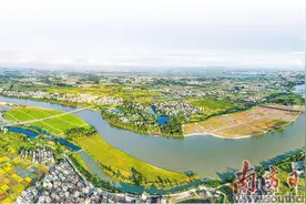 吴川扭住产业牛鼻子 挺起发展硬脊梁图片