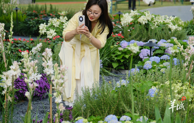 秋明拍花｜名副其实的“花城”：人在画中游，笑从花畔生