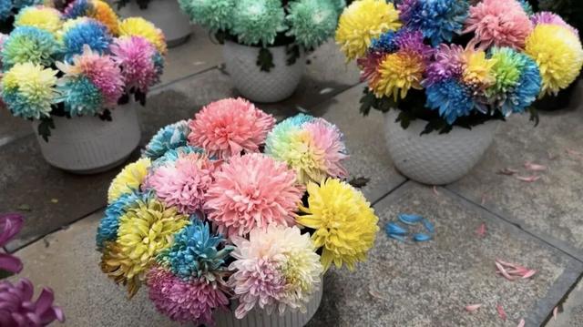 2025保康秋游季，邀您共赏山色如画