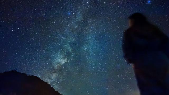 探秘神农架丨在原始森林徒步，到底有多野？