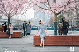 0点还在打卡！最新樱花大道，风景独一份图片