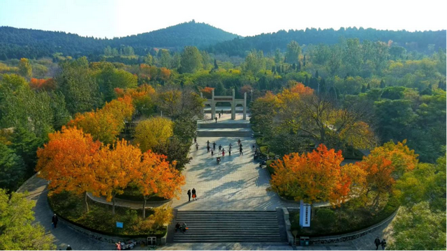 在平阴，有一种幸福是“家在公园里”