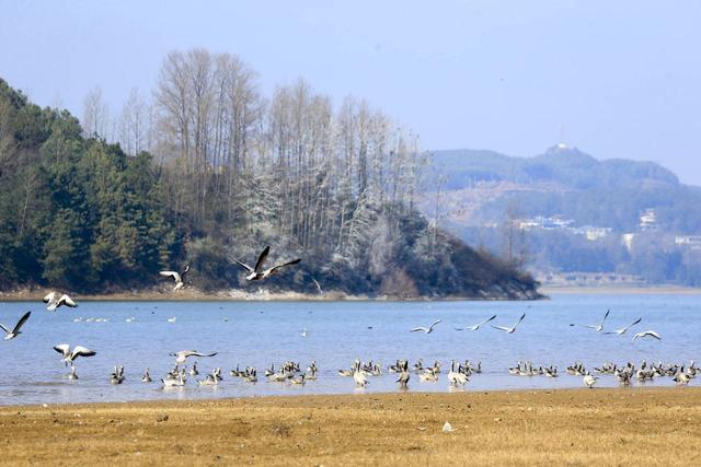 旅居康养到毕节，这片土地活力迸发