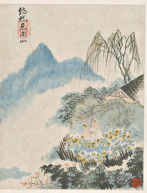 菊花，被误读的传统吉祥花