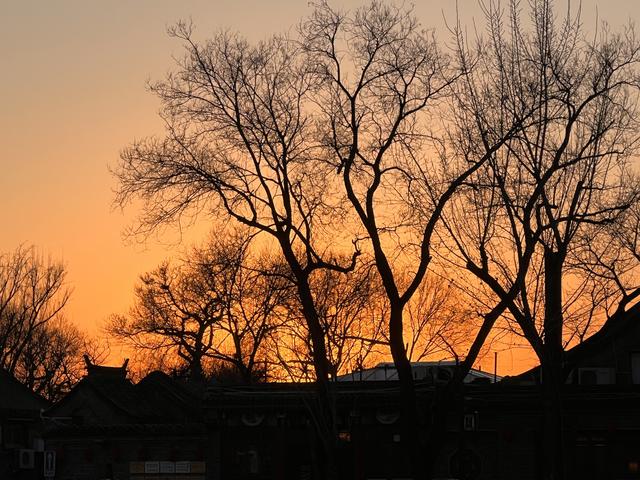 仿佛镀上了一层金色的光，北京冬至日邂逅最美夕阳