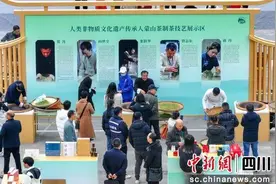 雅安雨城：藏茶亮相2025蒙顶山茶商大会图片