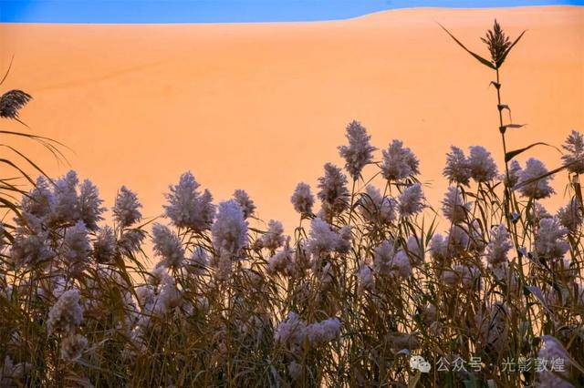 敦煌：大漠秋景醉游人
