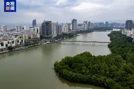 贵州队获得运动会龙舟比赛男子标准舟1000米直道赛一等奖图片