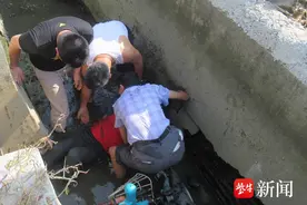 老汉中暑连人带车掉入水渠，抬、托、递……警民联手施救图片