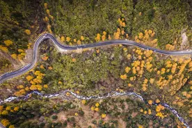 谁来养护农村公路？图片