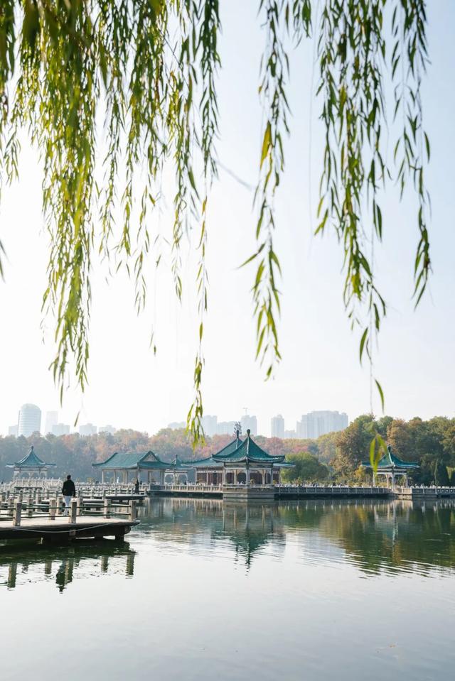 东湖秋日图鉴②｜邂逅听涛，定格秋的独家记忆