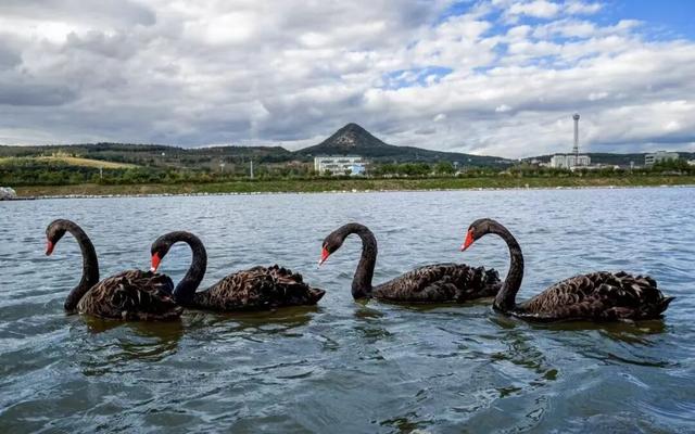 【金秋秘境·漫游奇遇】星空野宿——秋幕下的自然疗愈之旅
