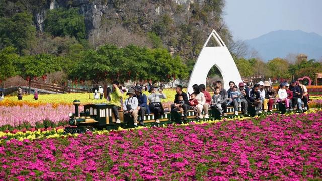 旅游接待和收入居清远首位！英德春节假期揽客81.49万人次，再攀新高！
