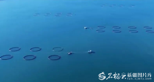 天高地迥 大美不言——庆祝自治区成立70周年系列述评之六