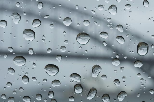 （外代一线）悉尼遭遇降雨天气
