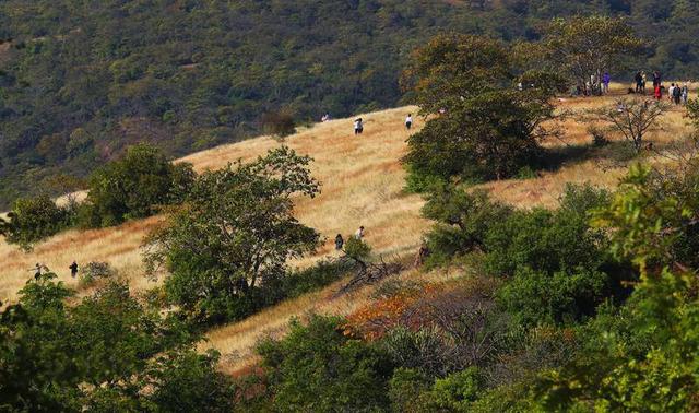 暖游玉溪元江体验“中国萨王纳”的旷野魅力