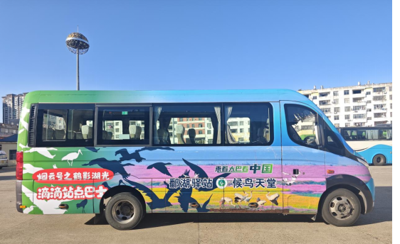 冬季观候鸟直通线路正式开通啦！6.5元起！