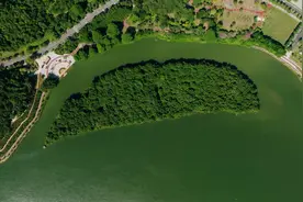 粤港澳大湾区女子半程马拉松赛将在广州增城举办，明年元旦开赛，为华南地区首场图片