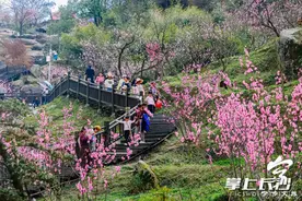 “桃”你欢心，宁乡灰汤第十三届桃花节来了图片