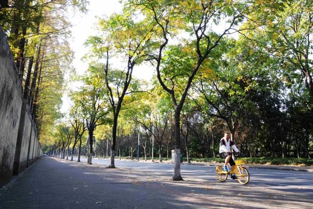 此时，闵行最美的地方就在……