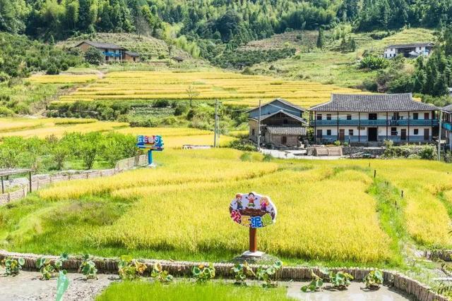 挖到宝了！闽清村唱喊你免费听，百元民宿住到爽，山水诗意直接拉满！