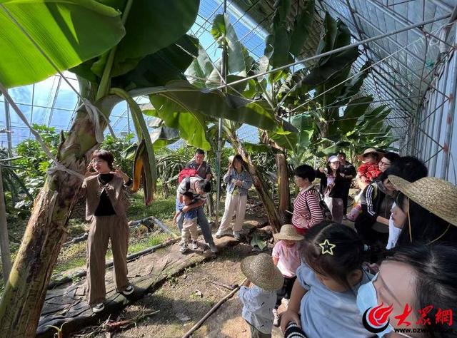乐享“双节”假期 潍坊昌乐打造多元县域旅游体验