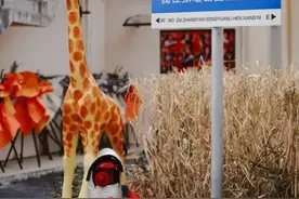 改造后的金山三大老厂房，哪一个是你的菜？图片