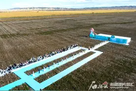 视觉震撼！新疆棉田成了国货秀场图片