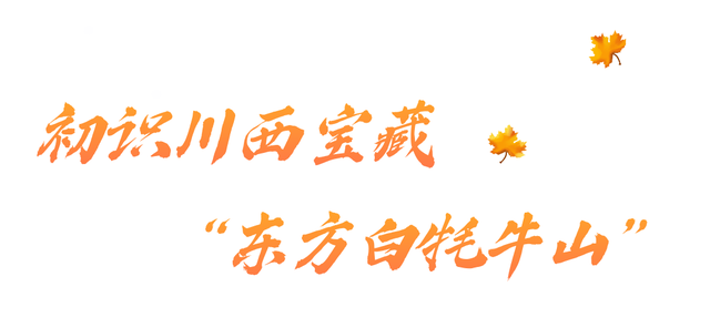 实拍亚拉雪山，11月的川西美景势必再火一个！