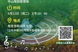 预告！森林里的音乐会！图片