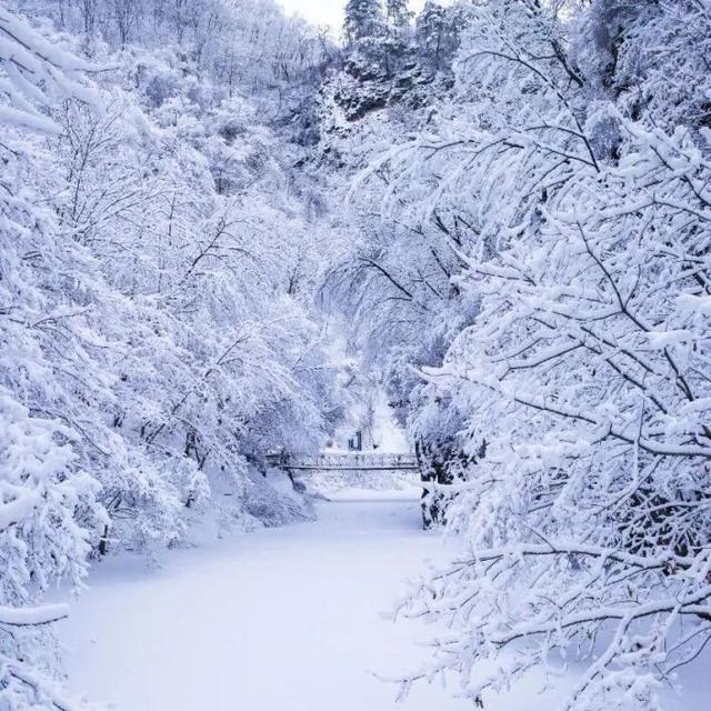 雪山、雾凇、云海......我就这样被辽冬轻松“拿捏”