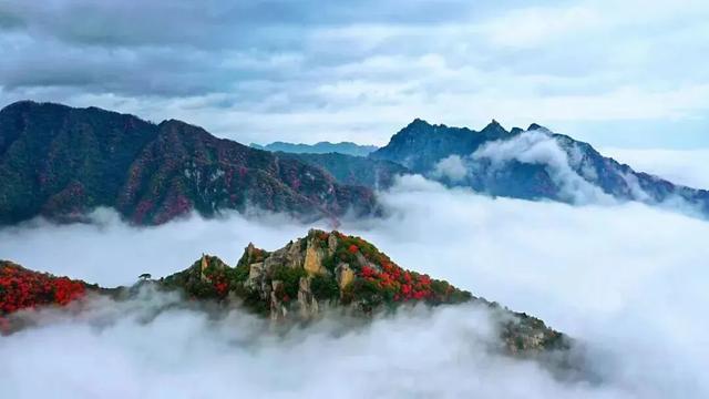 初冬的第一场旅行不如“进山游”→