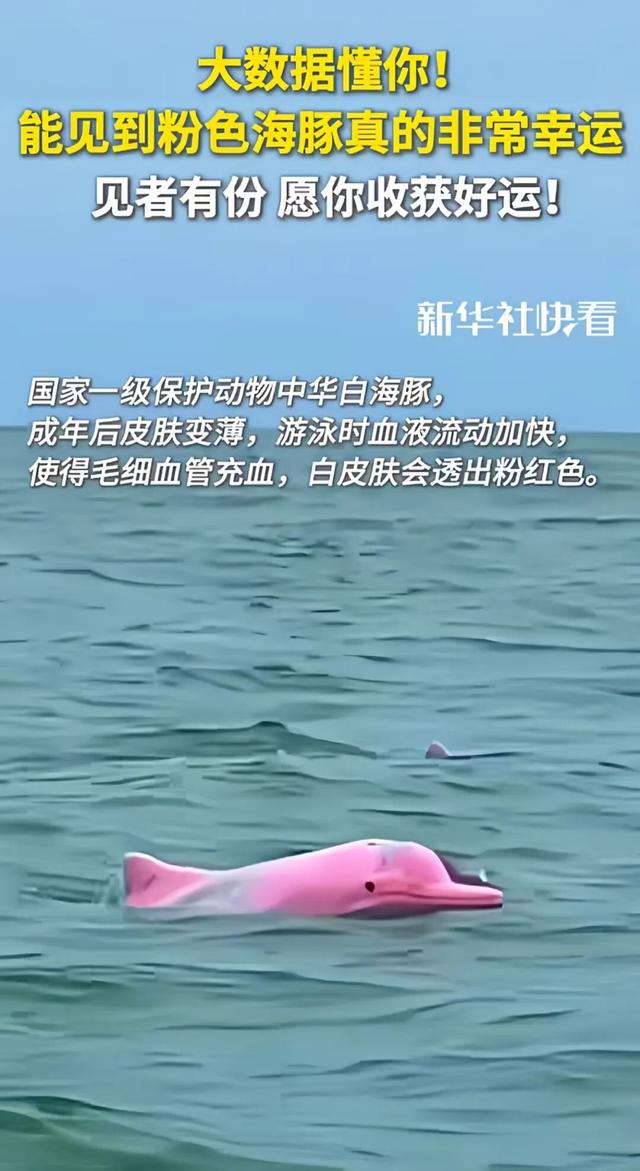 假期余额告急？央视力荐钦州，赶紧安排上→