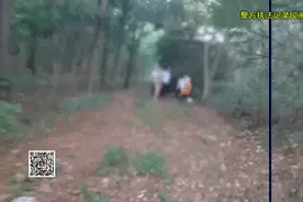 偏僻树林里，竟有一个男婴躺在纸箱里！图片